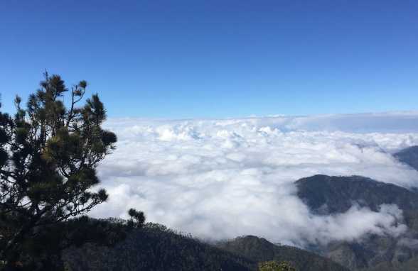 Pico Duarte Hike with Local Experts  Duarte Peak Camping  Trekking