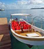 Private Speed Boat Lancha  Saman Bay