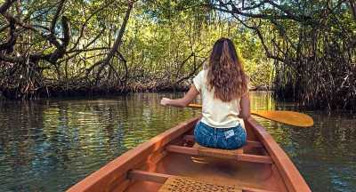 Tainos Canoe Los Haitises