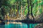 Hike  Kayak Los Haitises National Park from Boca Chica
